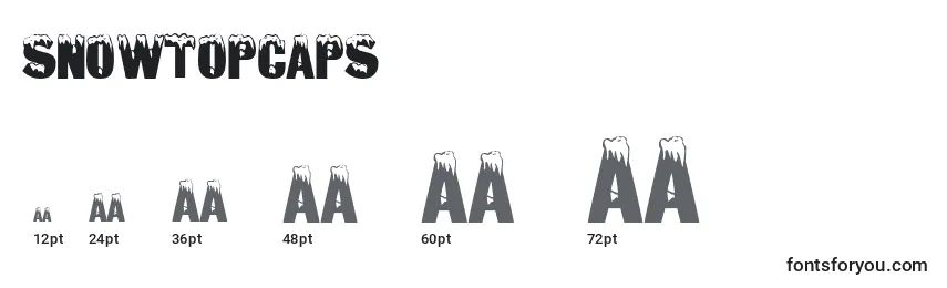 SnowtopCaps (62611) Font Sizes