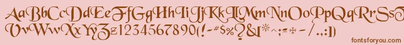 ToloisiRegular Font – Brown Fonts on Pink Background