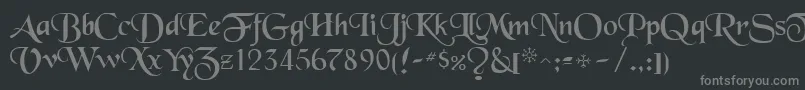フォントToloisiRegular – 黒い背景に灰色の文字