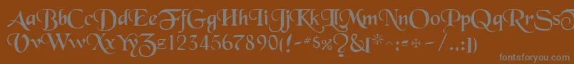 フォントToloisiRegular – 茶色の背景に灰色の文字