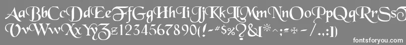 フォントToloisiRegular – 灰色の背景に白い文字