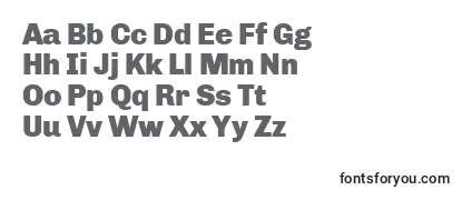 ChivoBlack Font