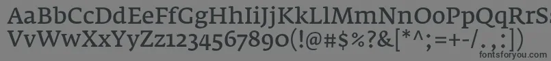 Шрифт FedraserifaproNormal – чёрные шрифты на сером фоне