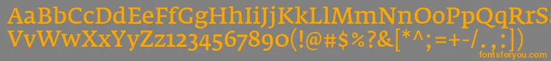 Lisätietoja FedraserifaproNormal-fontista FedraserifaproNormal-fontti – oranssit fontit harmaalla taustalla
