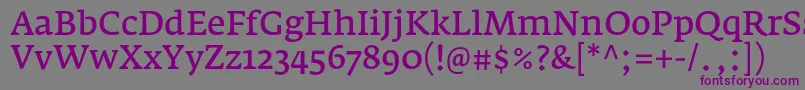 FedraserifaproNormal Font – Purple Fonts on Gray Background
