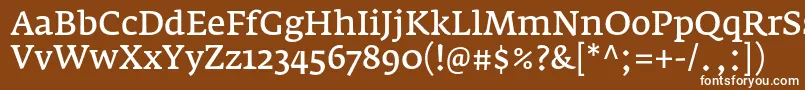 FedraserifaproNormal-fontti – valkoiset fontit ruskealla taustalla