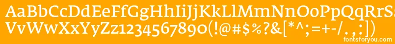 Шрифт FedraserifaproNormal – белые шрифты на оранжевом фоне