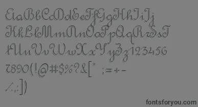 RondoTwinThin font – Black Fonts On Gray Background