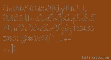 RondoTwinThin font – Gray Fonts On Brown Background