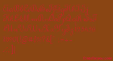 RondoTwinThin font – Red Fonts On Brown Background