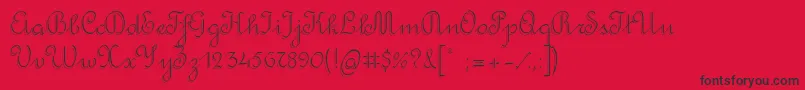 RondoTwinThin Font – Black Fonts on Red Background