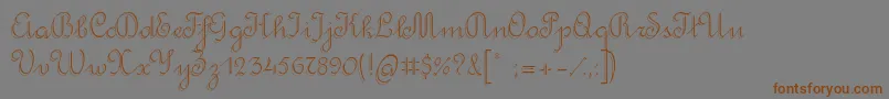 RondoTwinThin Font – Brown Fonts on Gray Background