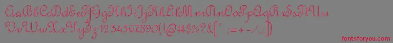 RondoTwinThin Font – Red Fonts on Gray Background