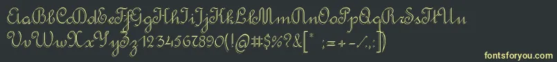 RondoTwinThin Font – Yellow Fonts on Black Background