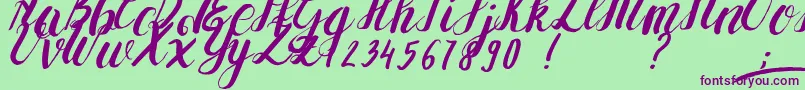 YolLoy1 Font – Purple Fonts on Green Background