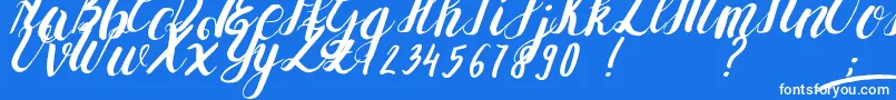 YolLoy1 Font – White Fonts on Blue Background