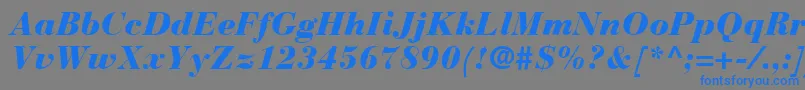 Więcej informacji o czcionce BauerBodoniBlackItalic Czcionka BauerBodoniBlackItalic – niebieskie czcionki na szarym tle