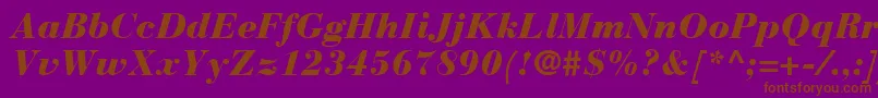 Fonte BauerBodoniBlackItalic – fontes marrons em um fundo roxo