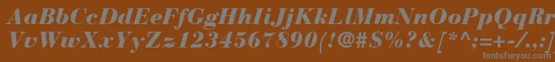 BauerBodoniBlackItalic-Schriftart – Graue Schriften auf braunem Hintergrund