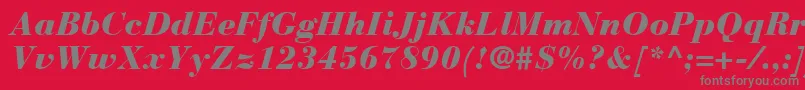 Czcionka BauerBodoniBlackItalic – szare czcionki na czerwonym tle