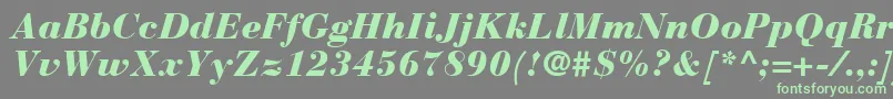 Fonte BauerBodoniBlackItalic – fontes verdes em um fundo cinza