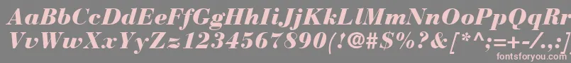 Fonte BauerBodoniBlackItalic – fontes rosa em um fundo cinza