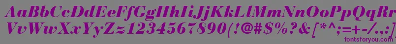 BauerBodoniBlackItalic Font – Purple Fonts on Gray Background