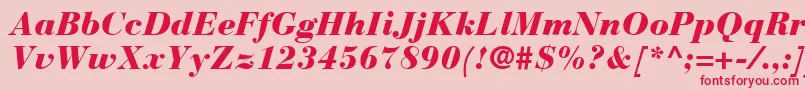 BauerBodoniBlackItalic-Schriftart – Rote Schriften auf rosa Hintergrund