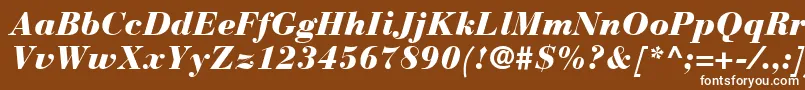 BauerBodoniBlackItalic-Schriftart – Weiße Schriften auf braunem Hintergrund