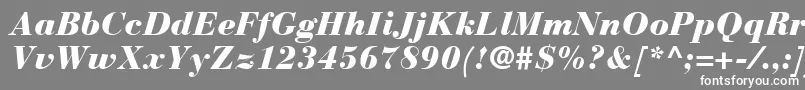 フォントBauerBodoniBlackItalic – 灰色の背景に白い文字