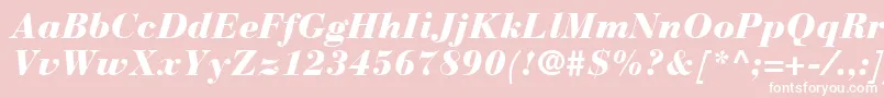 BauerBodoniBlackItalic-Schriftart – Weiße Schriften auf rosa Hintergrund