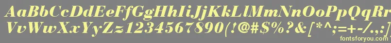 フォントBauerBodoniBlackItalic – 黄色のフォント、灰色の背景