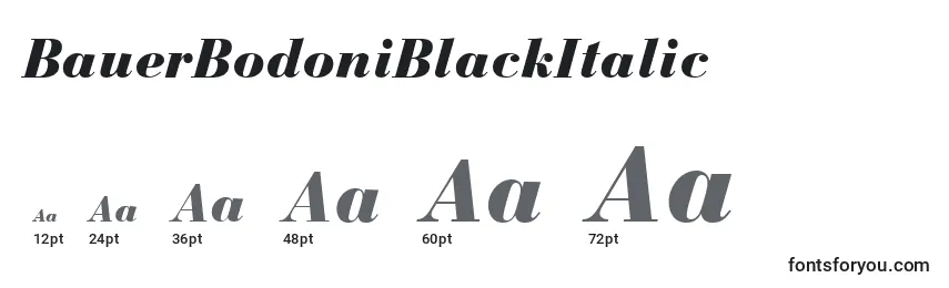 BauerBodoniBlackItalic Font Sizes