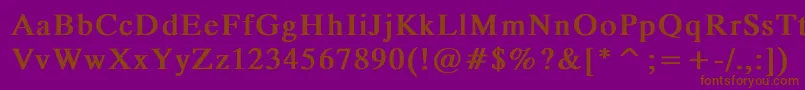 MicrotiempoNormalBold Font – Brown Fonts on Purple Background