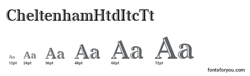 CheltenhamHtdItcTt Font Sizes