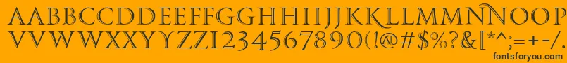 PfmonumentaproShaded Font – Black Fonts on Orange Background