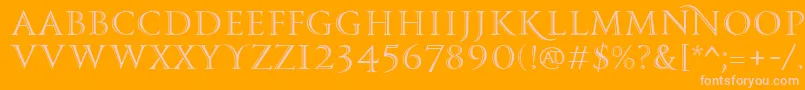 PfmonumentaproShaded Font – Pink Fonts on Orange Background