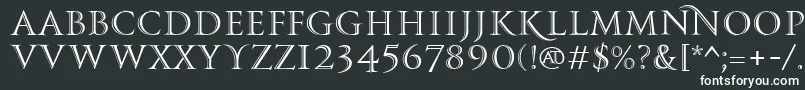 PfmonumentaproShaded Font – White Fonts