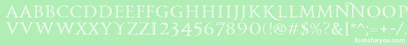 PfmonumentaproShaded Font – White Fonts on Green Background