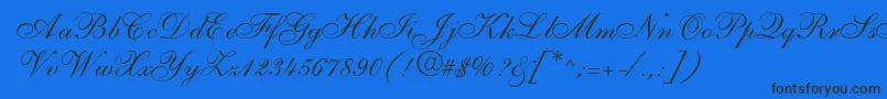 S721ScriptTwoRegular Font – Black Fonts on Blue Background