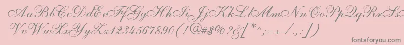 S721ScriptTwoRegular Font – Gray Fonts on Pink Background