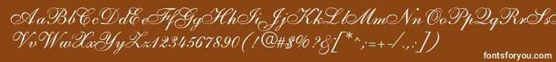 S721ScriptTwoRegular Font – White Fonts on Brown Background