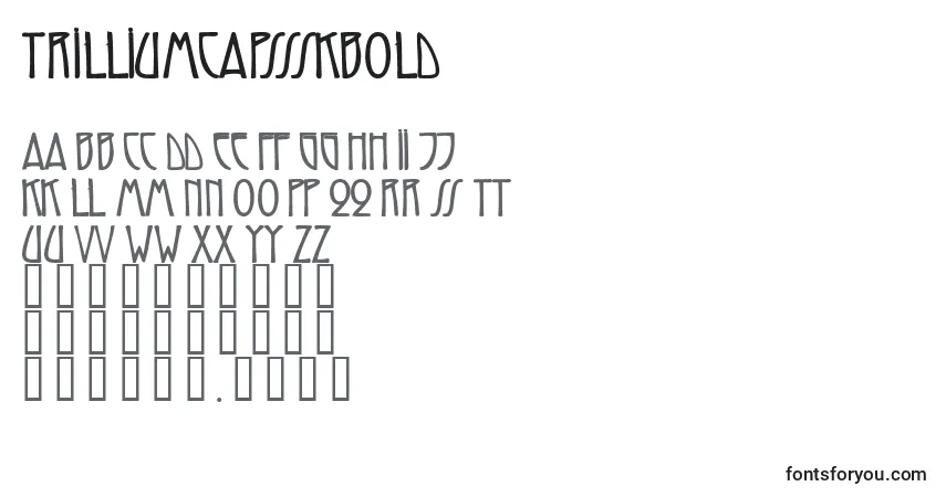 Шрифт TrilliumcapssskBold – алфавит, цифры, специальные символы