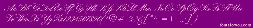 Hogarthscriptc-fontti – vaaleanpunaiset fontit violetilla taustalla