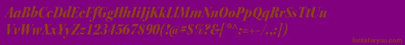 KeplerstdBlackscnitdisp Font – Brown Fonts on Purple Background