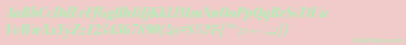 KeplerstdBlackscnitdisp Font – Green Fonts on Pink Background