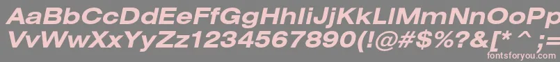 HeliosextcBolditalic Font – Pink Fonts on Gray Background