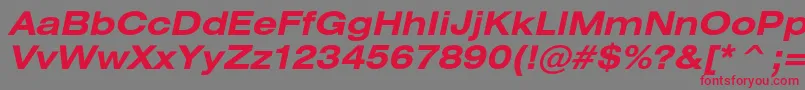 HeliosextcBolditalic Font – Red Fonts on Gray Background