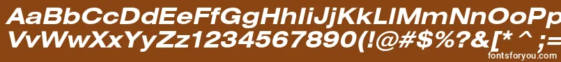 HeliosextcBolditalic Font – White Fonts on Brown Background