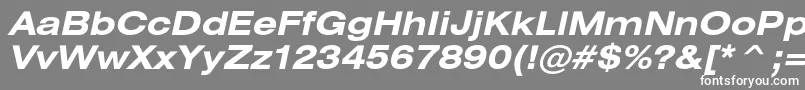 HeliosextcBolditalic Font – White Fonts on Gray Background